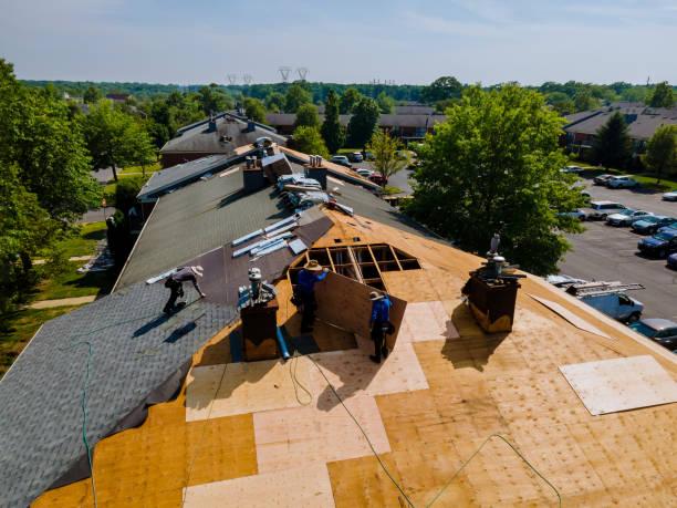 Best Metal Roofing Contractor  in Groesbeck, TX